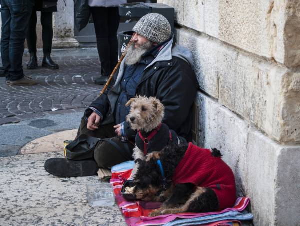 Ricco di animali