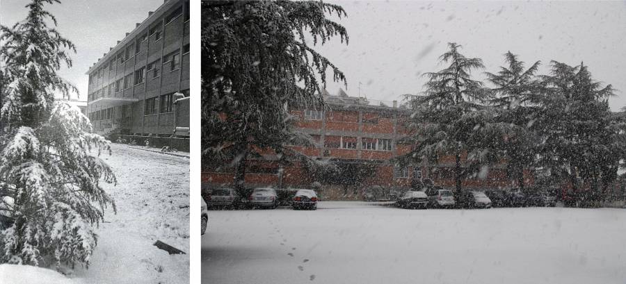 Neve a Roma