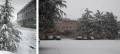 Neve a Roma