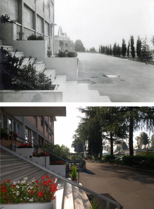 Viale di ingresso