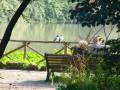 coppie_in_riva_al_lago.jpg