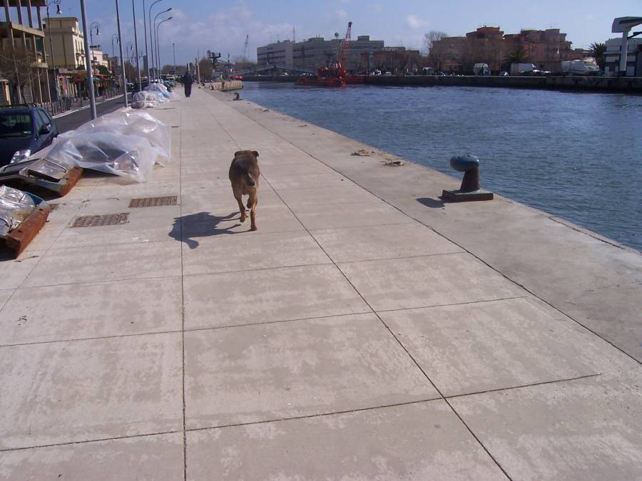 Fiumicino
