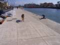 Fiumicino