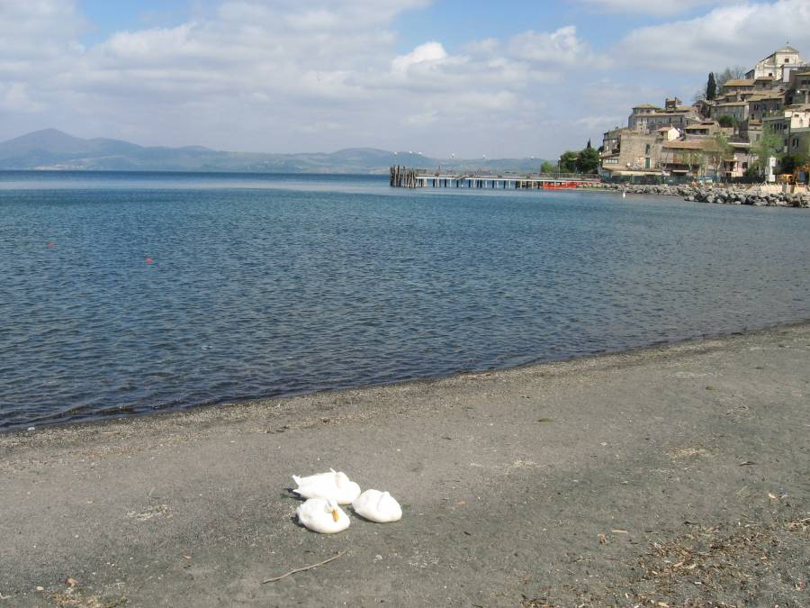 Anguillara
