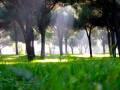 Fasci di luce