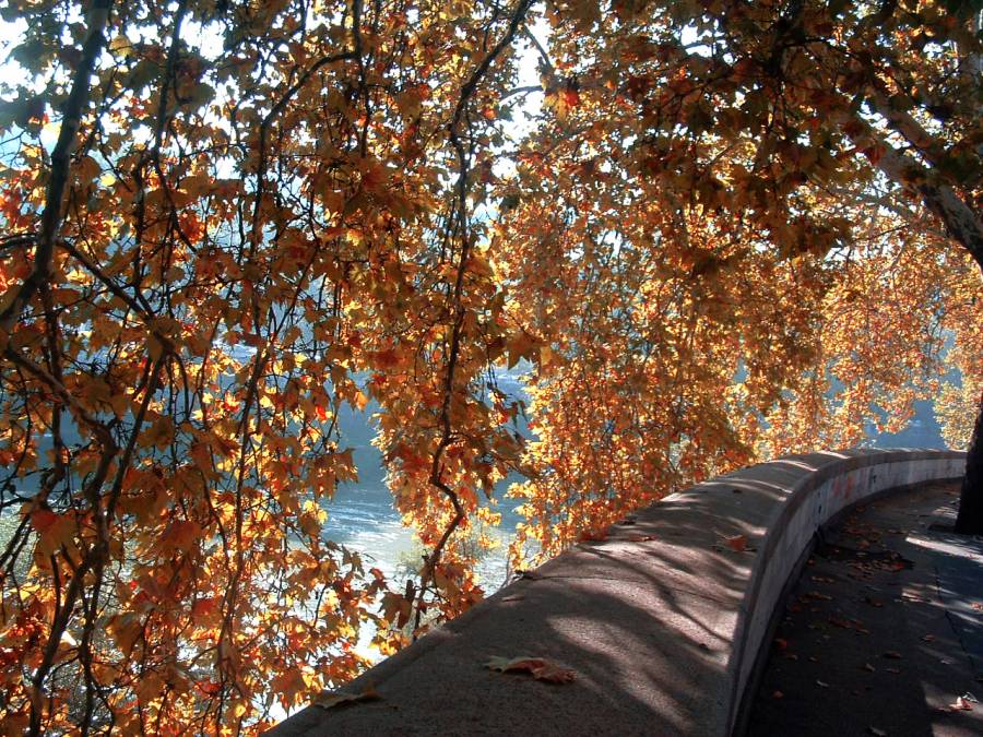 Lungotevere d'Autunno