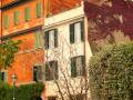 Trastevere a Colori