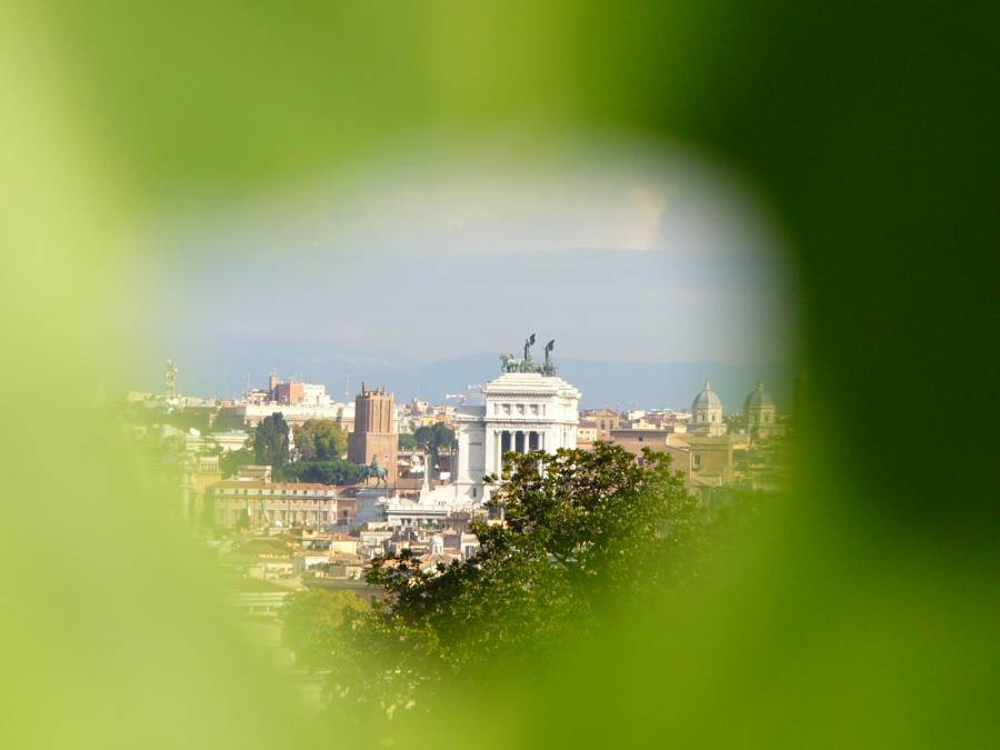 Vista da una foglia