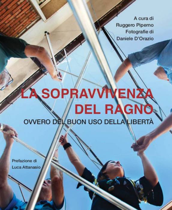 la_sopravvivenza_del_ragno.jpg