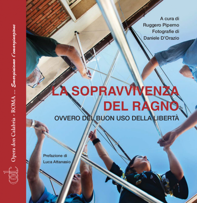 opera_don_calabria_-_la_sopravvivenza_del_ragno.png